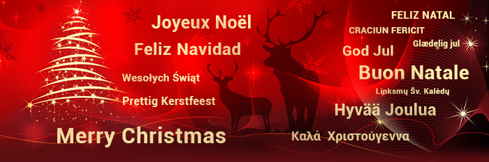 joyeux noel et bonne année